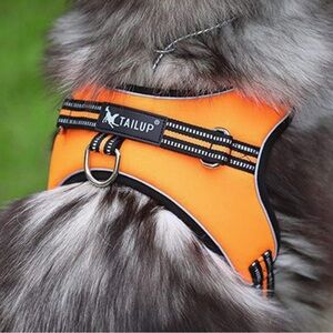TAILUP No-Pull Dog Harness Orange Black For Walking & Training Safely Size XL